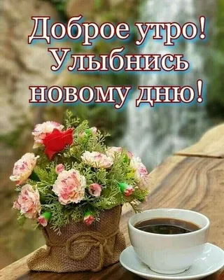 Instagram photo by Доброе утро🌞улыбнись • Aug 22, 2020 at 12:46 AM