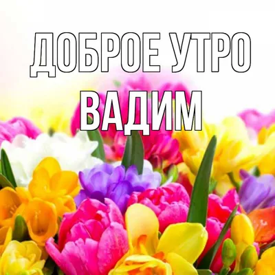 29 апреля, пятница – доброе утро, Ярославль! Вадим Зеланд: Люди не  замечают, что болеют и умирают глупейшим образом - YarNews.net