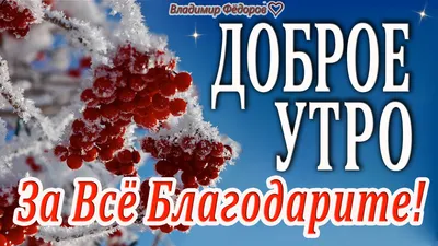 Пин от пользователя Владимир Прокофьев на доске Веселые картинки | Веселые  картинки, Картинки, Доброе утро