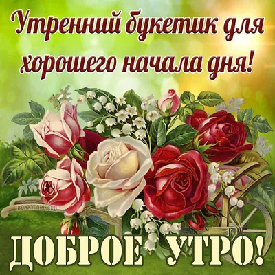 🌞 С добрым утром! 🌷 | Поздравления, пожелания, открытки! | ВКонтакте