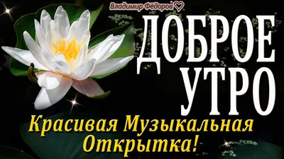 Владимир Анцыперович - Доброе утро, Город. Всем хорошего дня. С началом  новой трудовой, длинной, рабочей недели. Сегодня 15 февраля, понедельник  Сейчас на улице ясно, -19°C (-24°C) Ветер северо-западный, 2.3 м/с (до 5.9