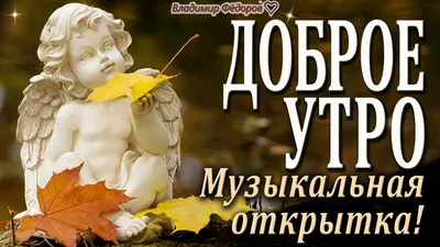 доброе утро любимый#видео #доброе #открытки #открыткикаждыйдень #откры... |  TikTok