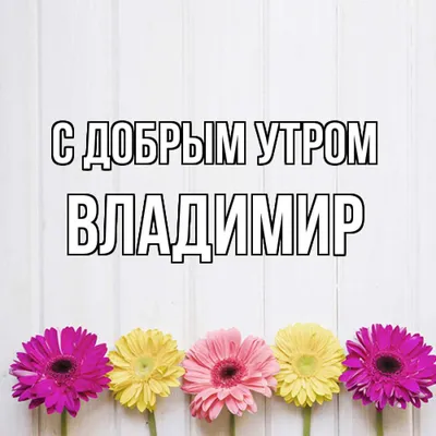 Открытка с именем Владимир Доброе утро картинки. Открытки на каждый день с  именами и пожеланиями.