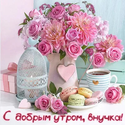 Внученька, привет моя родная! Утро доброе, кровиночка моя!#внучке #вну... |  TikTok