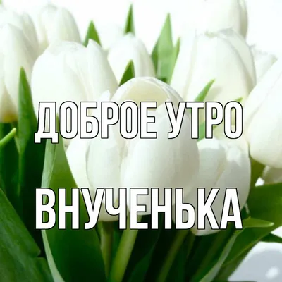 💗 Результаты поиска: красивые анимации доброе утро! Страничка 4! Картинки  и открытки, анимашки, гифки, гиф, gif!