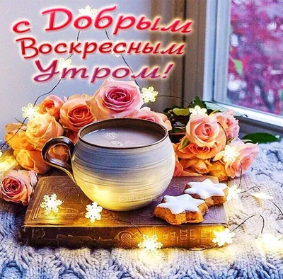 Доброе утро #доброеутро#сдобрымутром#привет#лето#моятиктоксемья#открыт... |  TikTok