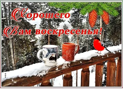 Последнее воскресенье зимы😉❄️🌷! #доброеутро#последнеевоскресен... | TikTok