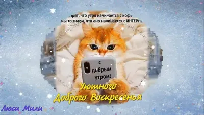 Открытки \"Доброго декабрьского утра!\" (100+)