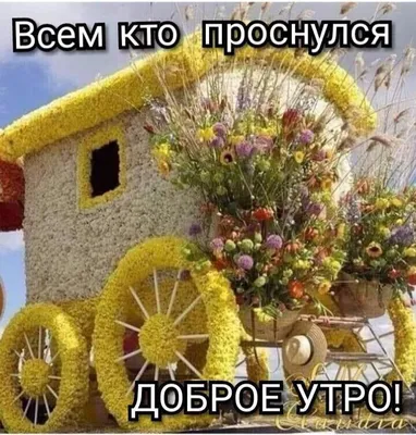 ДОБРОЕ УТРО ВСЕМ КТО ПРОСНУЛСЯ 💕💕💕🤝🤝🤝💯🤲🤲🤲🌹🌹🌹💟💟💟💟💟💟💟💟 |  Instagram