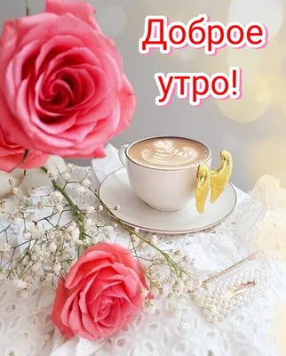 ღℒℴѵe❀С зимним добрым утром Друзья....•ღ❀ ~ Открытка (плейкаст)