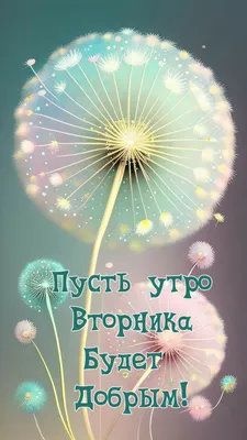 доброеутро#вторник | TikTok