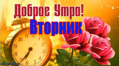 Картинки \"Доброго Утра Вторника!\" (155 шт.)