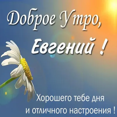 Открытка доброе утро Женя (скачать бесплатно)