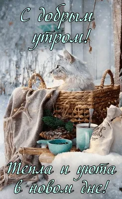 Картинки \"Доброе зимнее утро\" (1731 шт.)