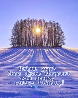 Научная библиотека МПГУ - Доброе утро! Пусть этот день согреет тепло ваших  мыслей! #Библиотека_МПГУ #доброеутро #хорошегодня #цитаты #зима #АльберКамю  #новыйдень | Facebook