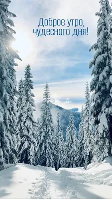 утро #сдобрымутром #новыйгод2022 #красивоепоздравление #красивоевидео... |  TikTok