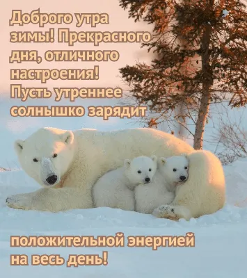 Открытки доброе утро зимы 2022