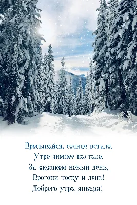 Необычные зимние картинки \"Доброе утро!\" (745 шт.)