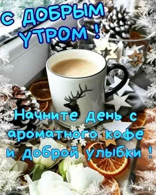 Идеи на тему «Доброе утро Зима» (500) | доброе утро, открытки, зима