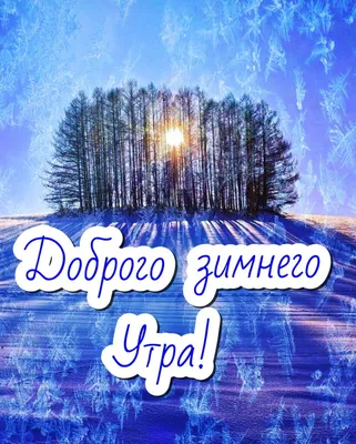 Доброе утро! Я, конечно, Ёжик не правильный - мне тут спать положено, а я  снегом любуюсь и с зимой вас поздравляю..... | ВКонтакте