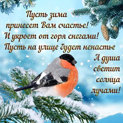 Красивые зимние картинки \"Доброе утро!\" (700 шт.)