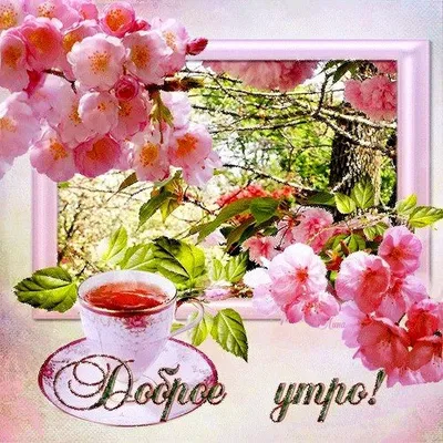 с добрым весенним утром!отличного Вам вторника!🌸🌞🌸🌞🌸🌞💞💞💞 | TikTok