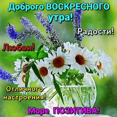 С добрым утром 💞 | Доброе утро, Смешные открытки, Смешные поздравительные  открытки