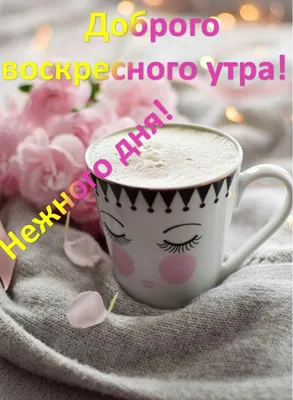 Доброго воскресного утра! #👋🤗😘💃⚘️ #воскресенье #доброеутречко #до... |  TikTok