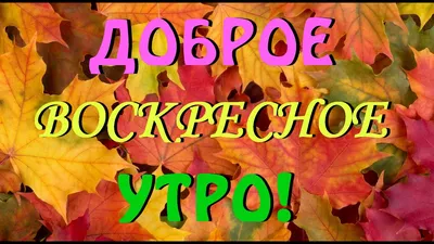 Картинки с добрым утром весна апрель прикольные (52 фото) » Картинки и  статусы про окружающий мир вокруг