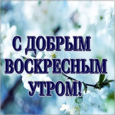 Картинки \"Доброе весеннее утро\" (65 открыток) • Прикольные картинки и  позитив