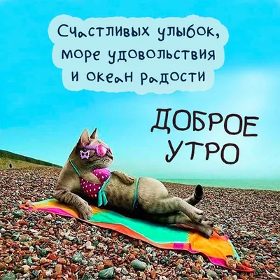 Открытки \"Доброго утра!\" летом (300+)