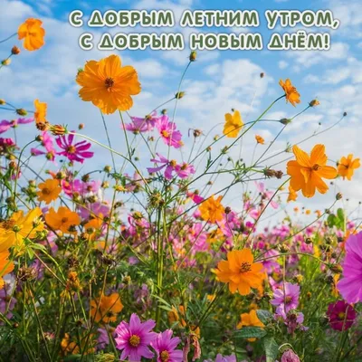 Доброе утро!С понедельником!Отличного настроения и продуктивной рабочей  недели! | ВКонтакте