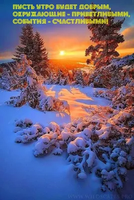 Доброе зимнее утро - новые красивые картинки (63 ФОТО)