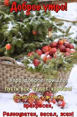 доброе зимнее утро волшебный лес: 1 тыс изображений найдено в  Яндекс.Картинках | Доброе утро, Открытки, Зимние картинки