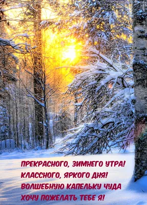 Картинка \"Доброе зимнее утро\", с утренним снежным лесом • Аудио от Путина,  голосовые, музыкальные