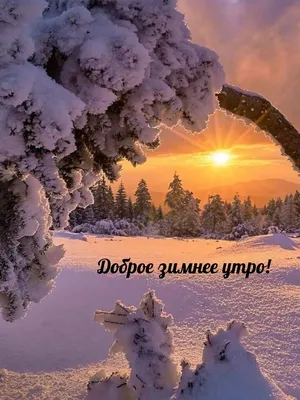 Доброго зимнего утра! 🌸Невесомых снежинок вам!🌸 Зимний позитив🌸Good  morning!🌸 - YouTube