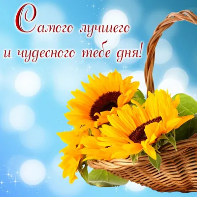 💌☀️😄 Картинки Хорошего дня - скачать (226 шт.)