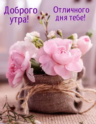 Доброго дня! 🌼