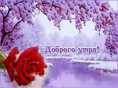 Доброе утро февраля! .