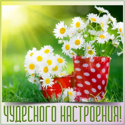 Картинки \"Доброго летнего утра!\" (267 шт.)