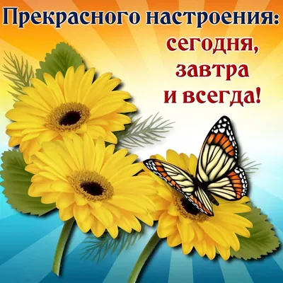 С Добрым зимним утром, хорошего настроения!! | Открытки Тедди | ВКонтакте