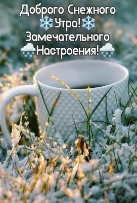 ДОБРОЕ УТРО! 🍁🍒🍫☕🍂🍎🍂☕🥧🍒🍁 Хорошего настроения в любую погоду! |  Доброе утро, Утренние цитаты, Открытки