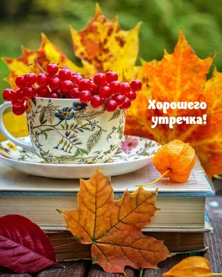 Доброе утро природа: хорошего дня, рассвет, дождь