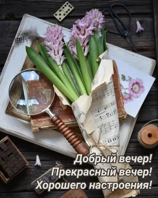 Картинки добрый вечер хорошего отдыха - 79 фото