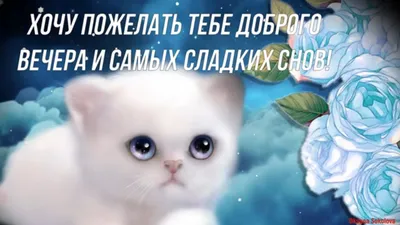 Всем доброго вечера, друзья! - Лента новостей Херсона