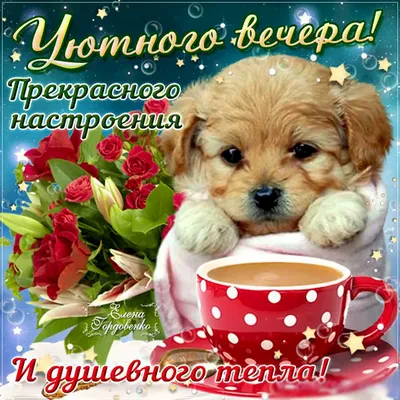 Душевные картинки ДОБРОГО ВЕЧЕРА