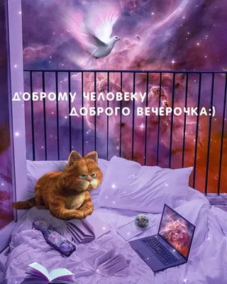 Доброго вечера и хорошего настроения картинки (69 лучших фото)
