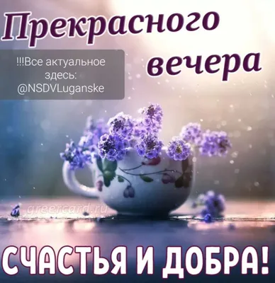 Картинки с пожеланиями доброго вечера и здоровья (47 фото) » Юмор, позитив  и много смешных картинок