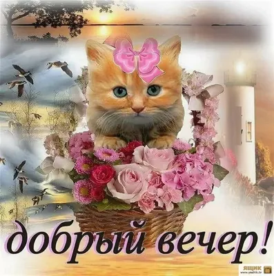 Напиши дословно: доброго вечера» — создано в Шедевруме