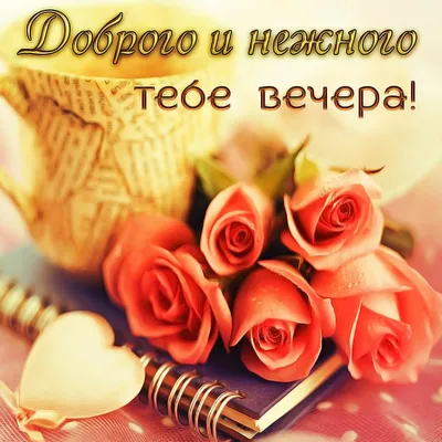 100 красивых пожеланий доброго вечера своими словами :: Инфониак
